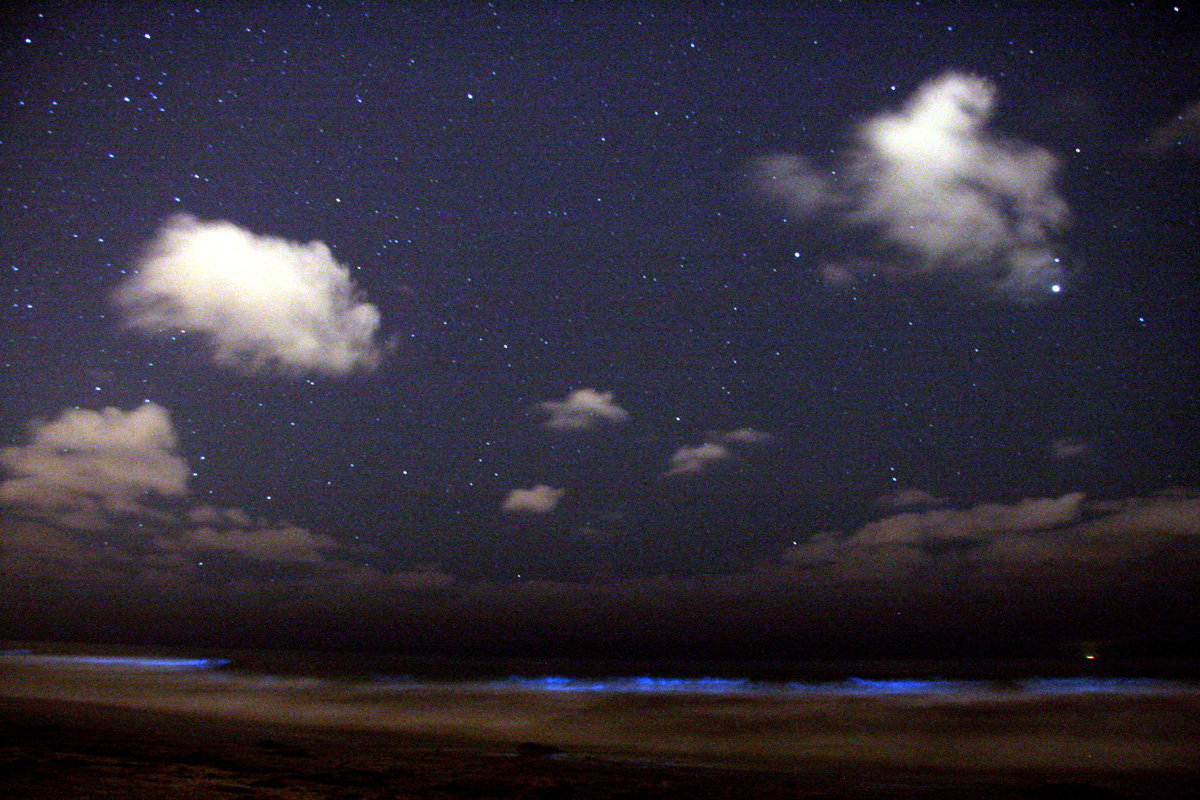 Bioluminescent Bay — photo 3